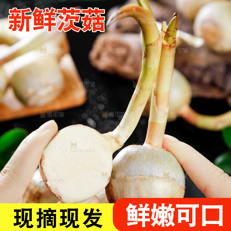 手里拿着切开白茨菇