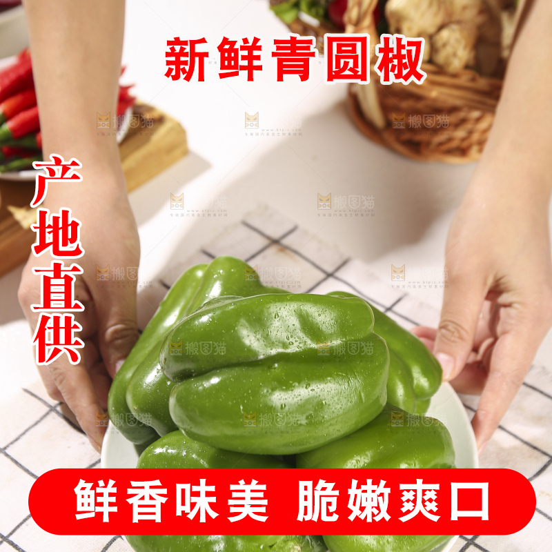 浅底上的青圆椒