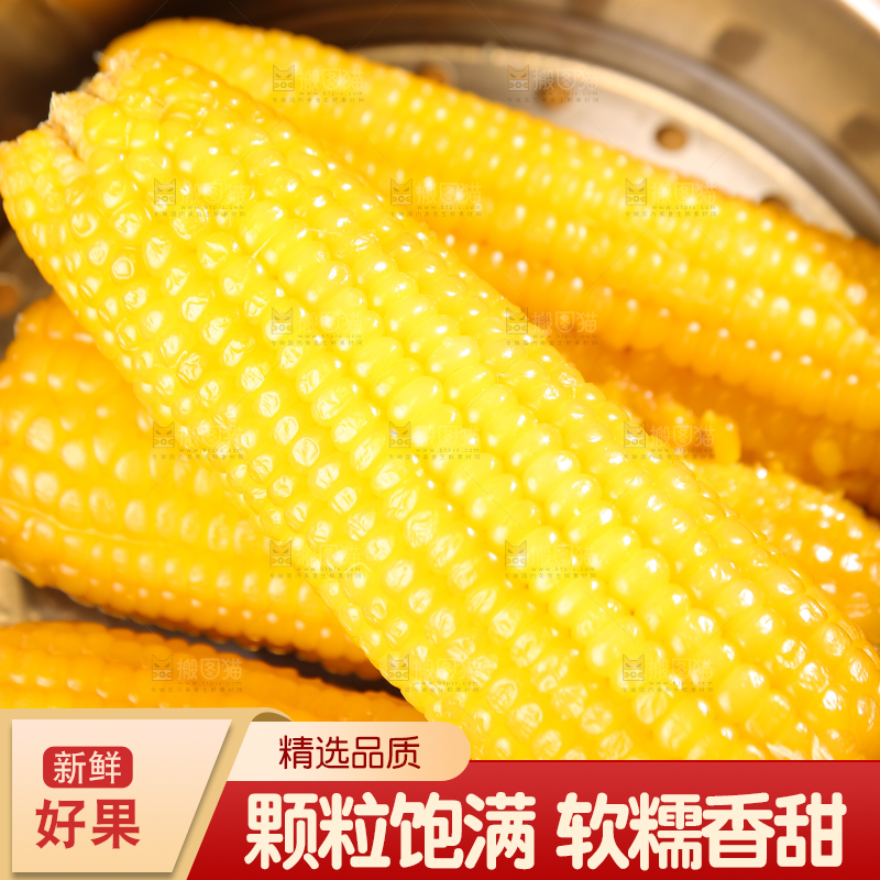 深底上的黄糯玉米