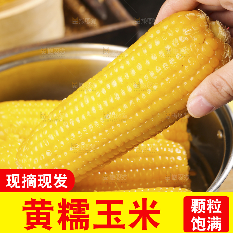 深底上的黄糯玉米