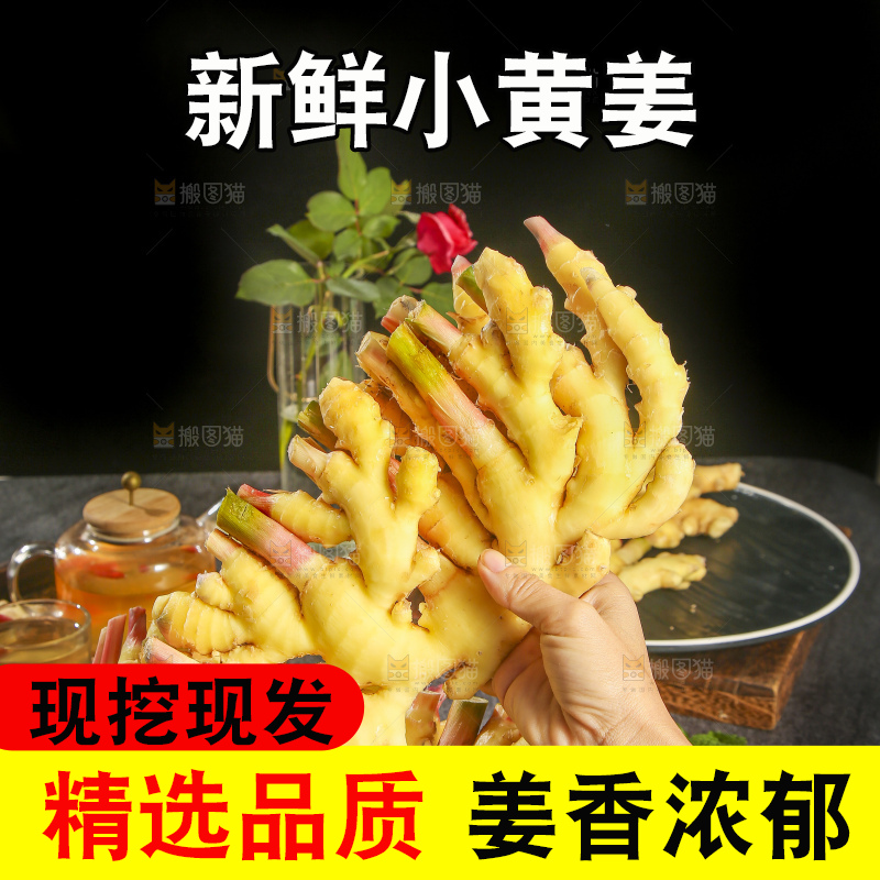 深底上的小黄姜