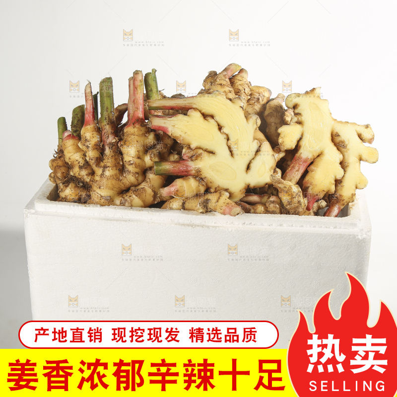 浅底上的的一箱小黄姜