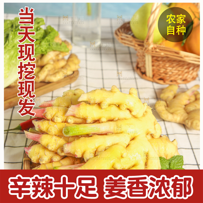 浅底上的小黄姜