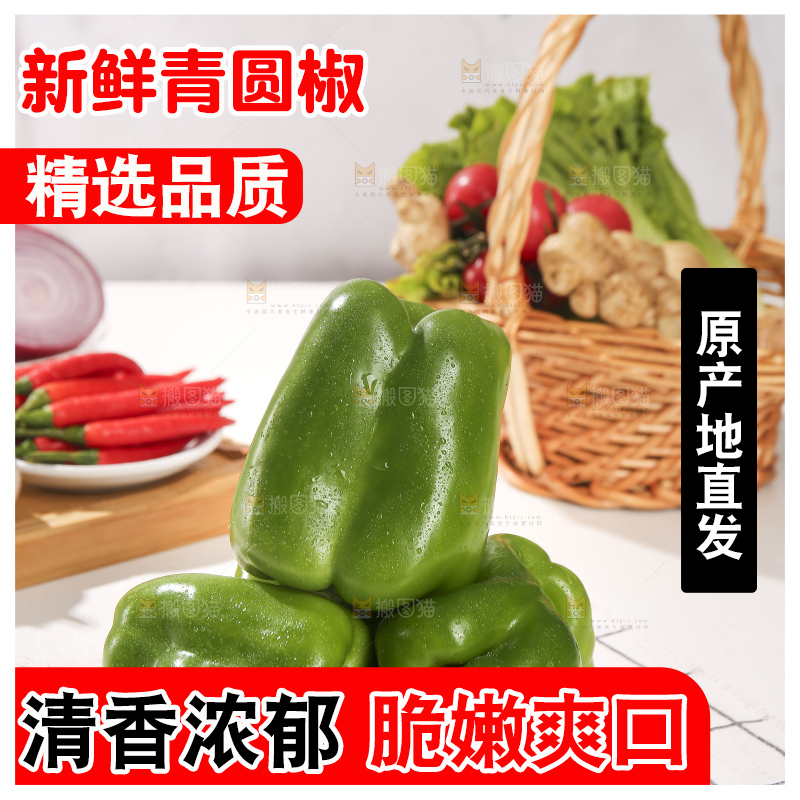 浅底上的青圆椒