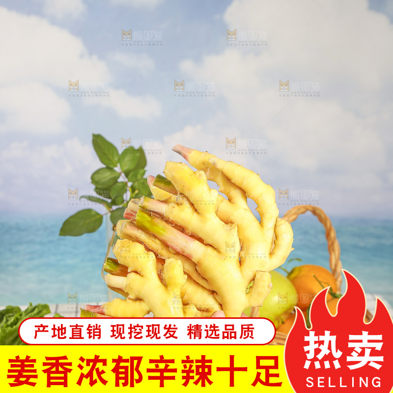 浅底上的小黄姜