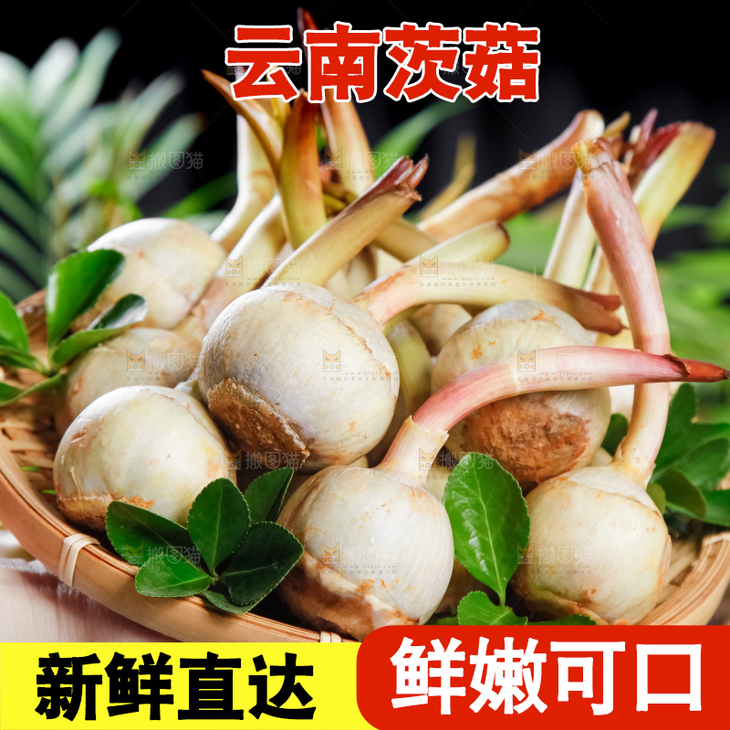 竹篮里放着白茨菇