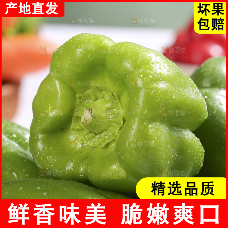 浅底上的青圆椒