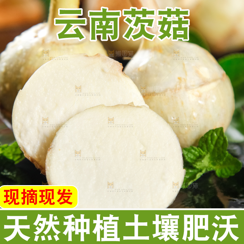 黑石垫上放着切开的白茨菇
