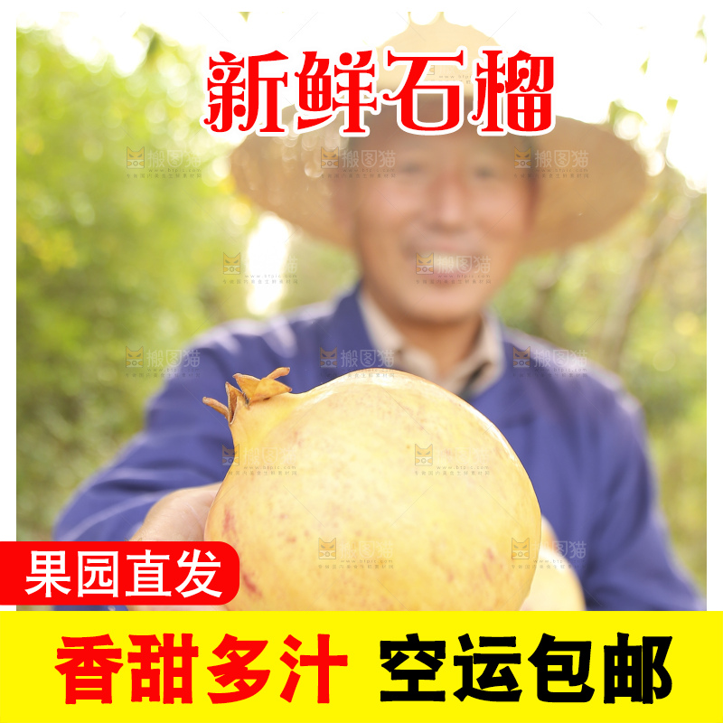 手里拿着蒙自石榴