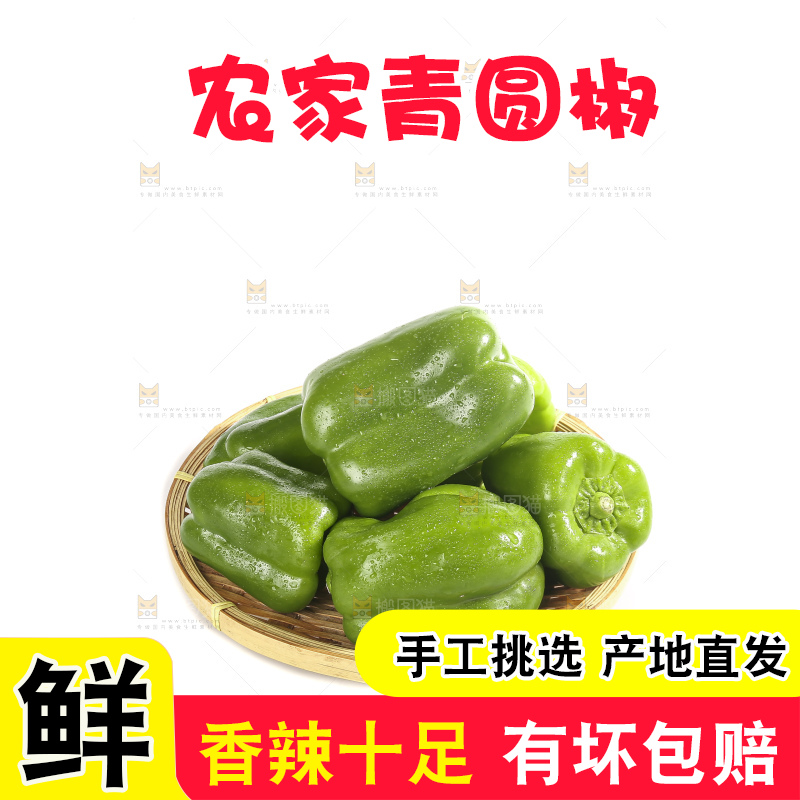 白底上的青圆椒