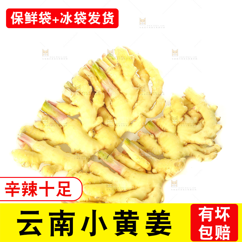 白底上的小黄姜