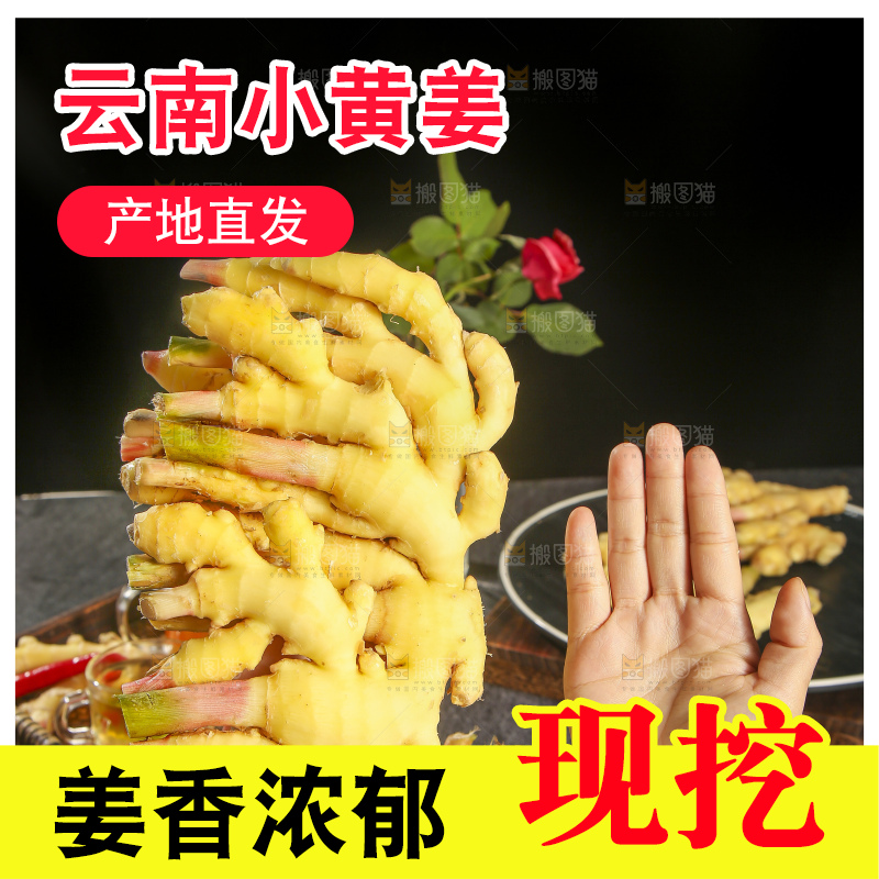 深底上的小黄姜