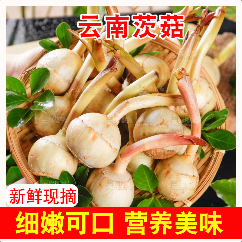 竹篮里放着白茨菇