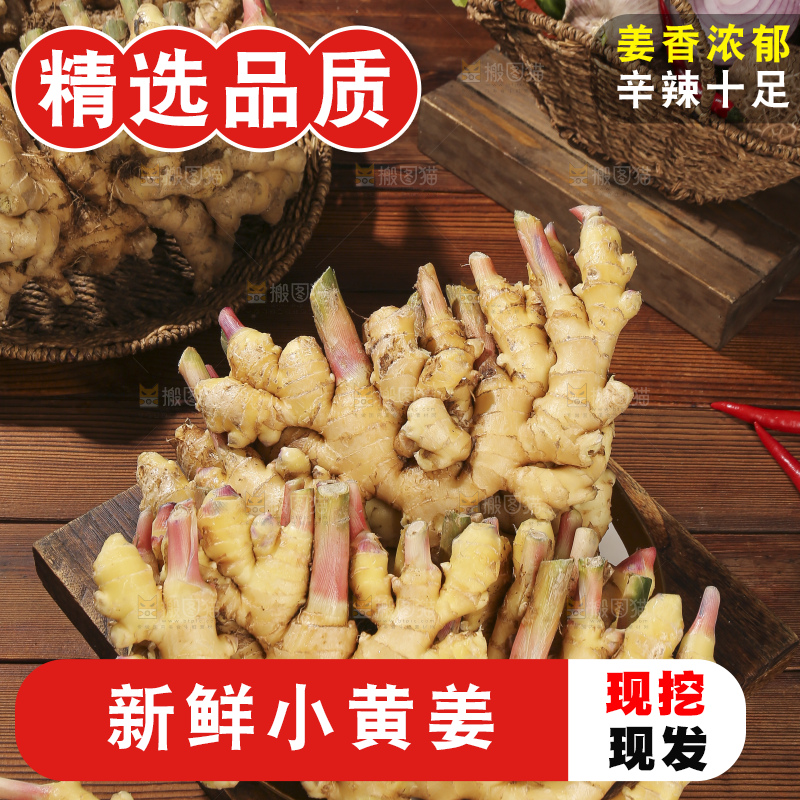 木底上的新鲜小黄姜