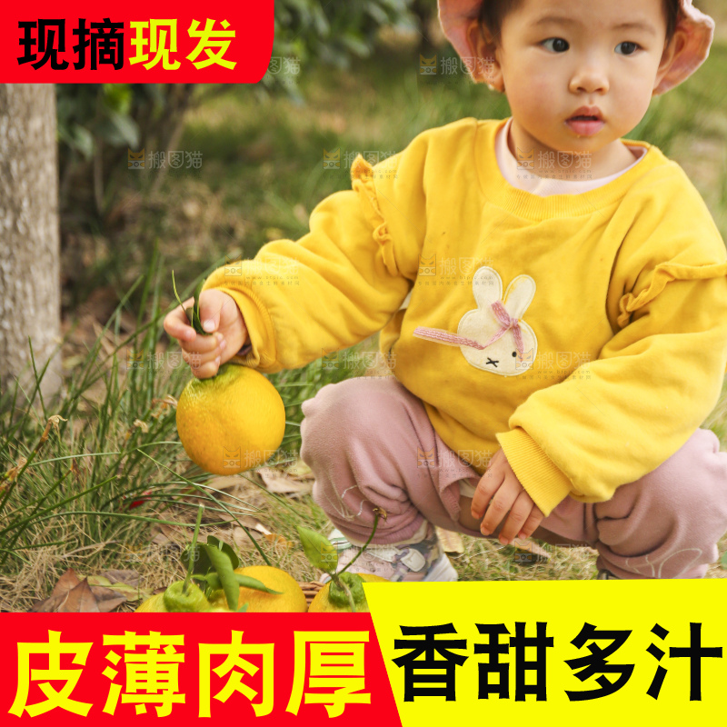 手里拿着丑八怪