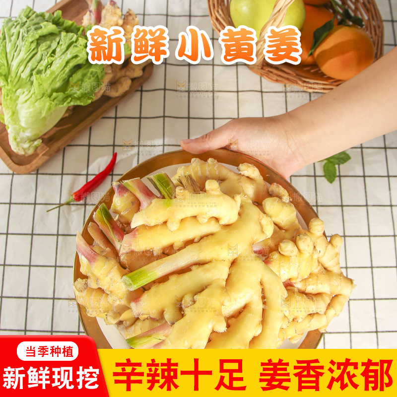 浅底上的小黄姜