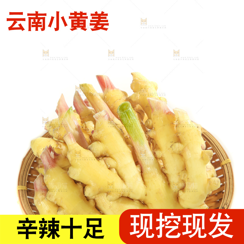 白底上的小黄姜