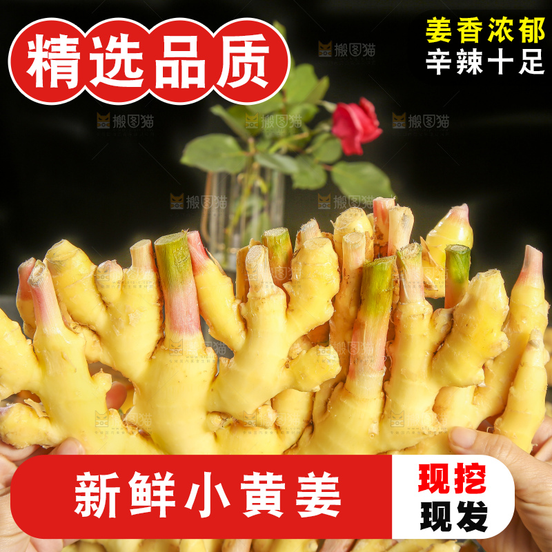 深底上的小黄姜