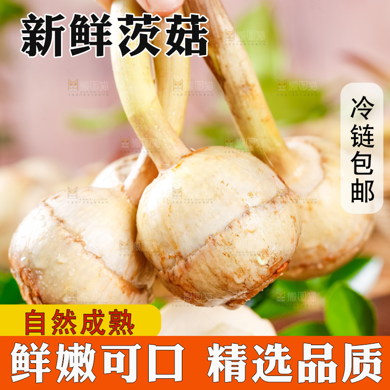 手里拿着白茨菇