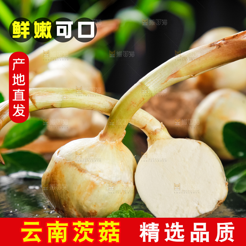 黑垫上放着切开的白茨菇
