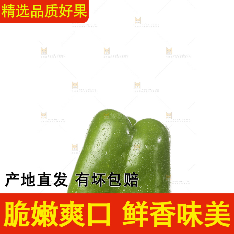白底上的青圆椒