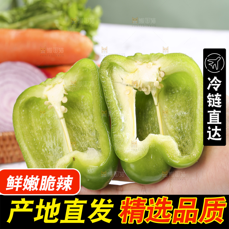 浅底上的青圆椒