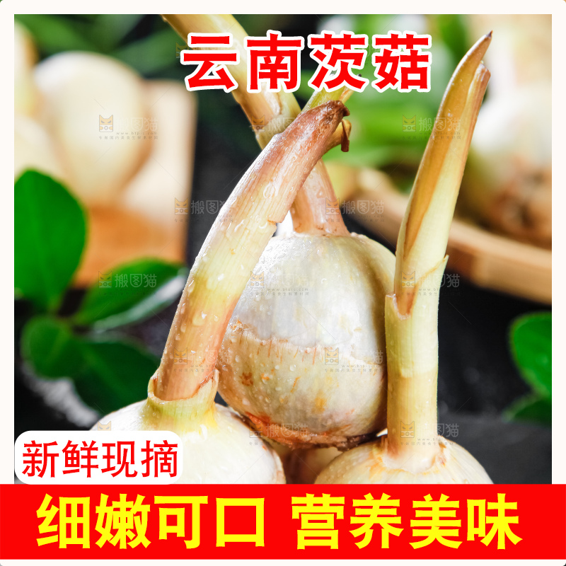 黑石板上放着白茨菇