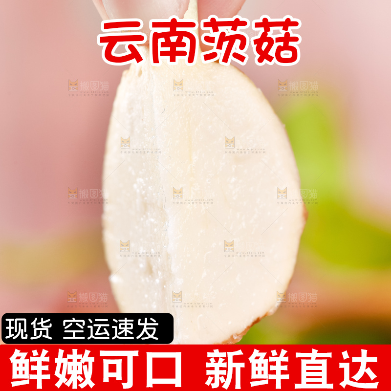 手里拿着切开的白茨菇