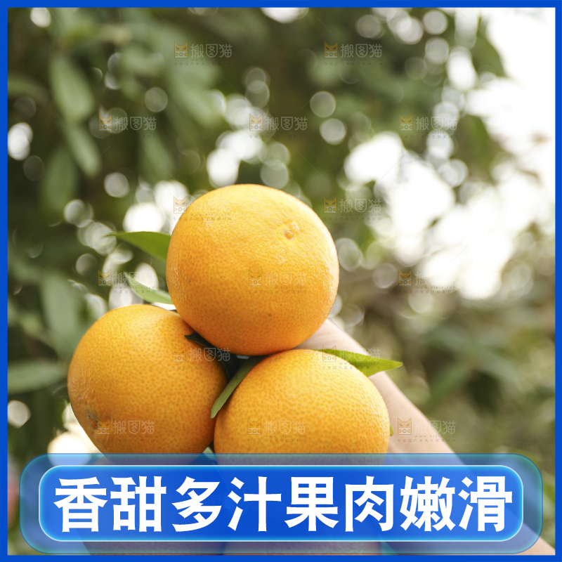 手里拿着爱媛果冻橙