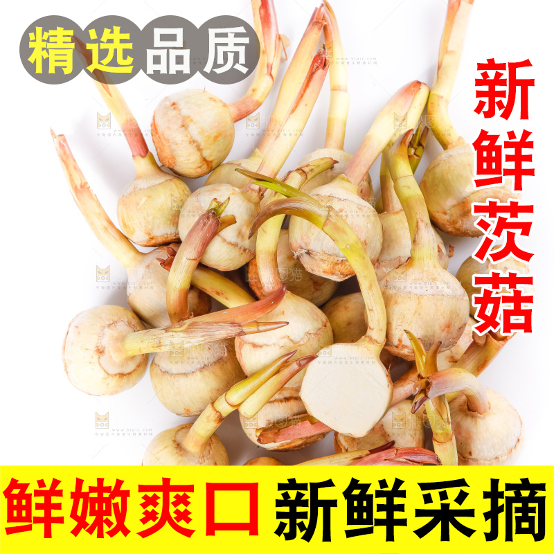 白底上放着云南茨菇