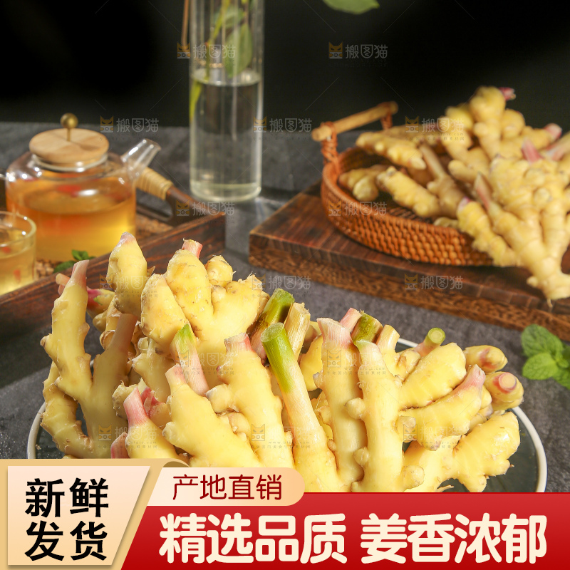 深底上的小黄姜