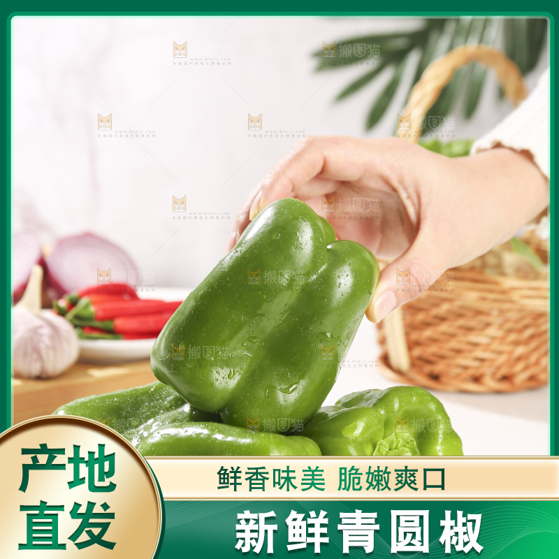 浅底上的青圆椒