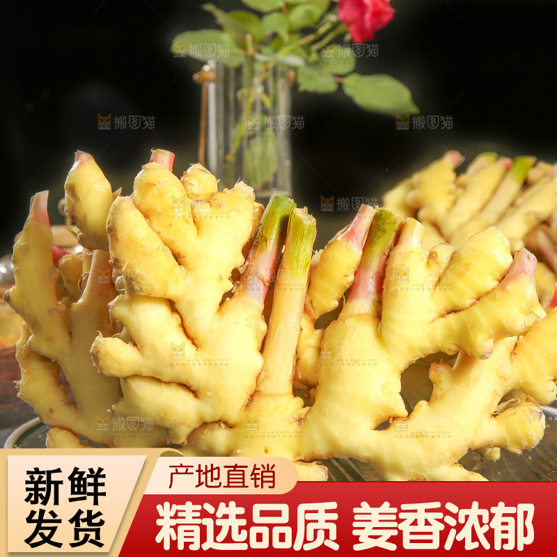 深底上的小黄姜