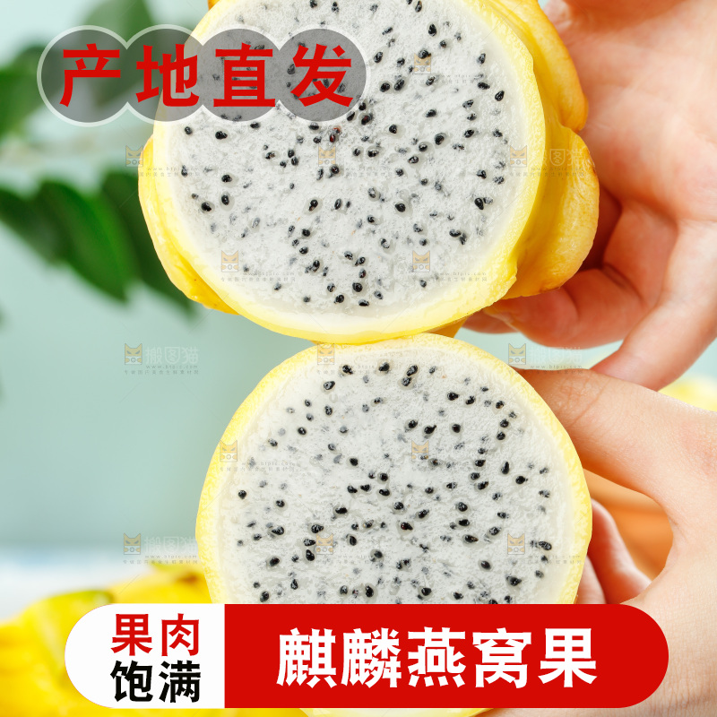 浅底上的黄皮火龙果