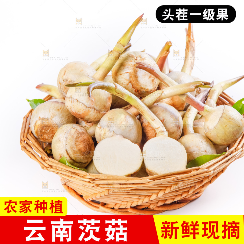 竹篮里装着云南茨菇