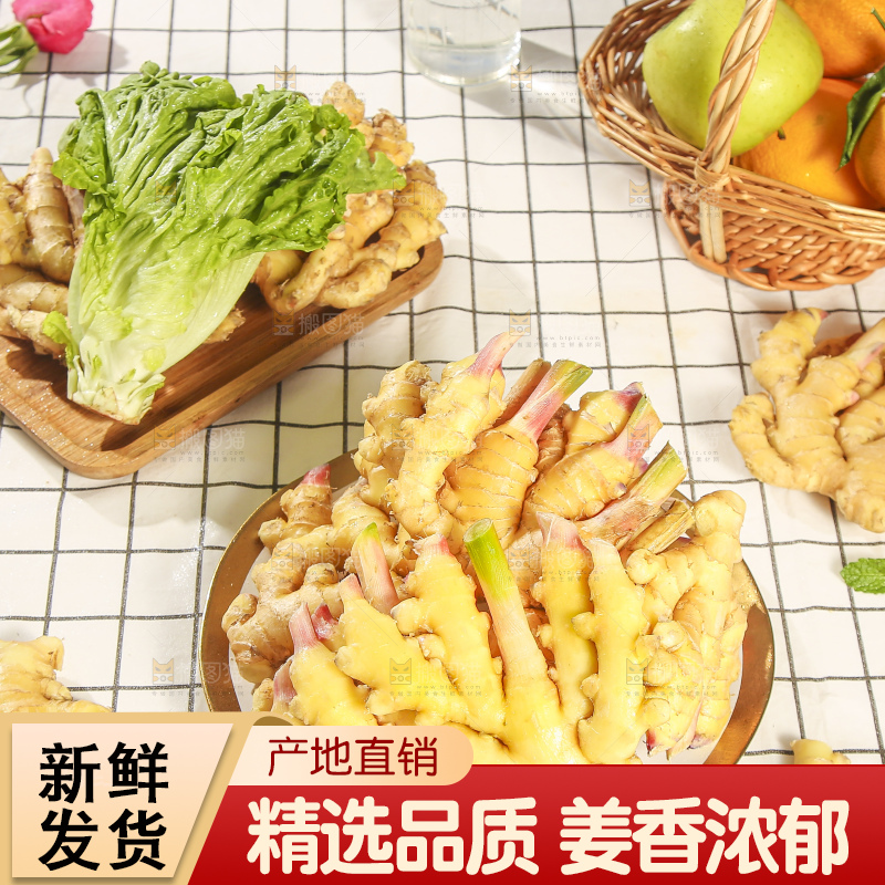 浅底上的小黄姜