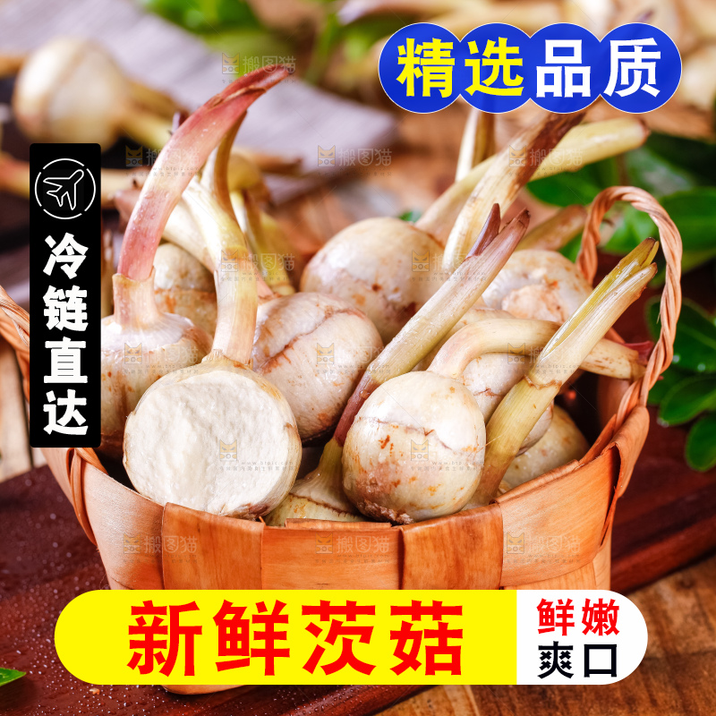 竹篮里装着白茨菇