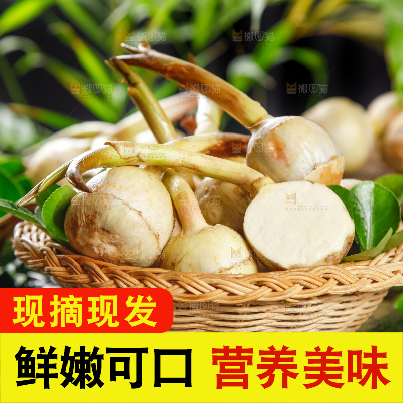 竹篮里装着云南茨菇
