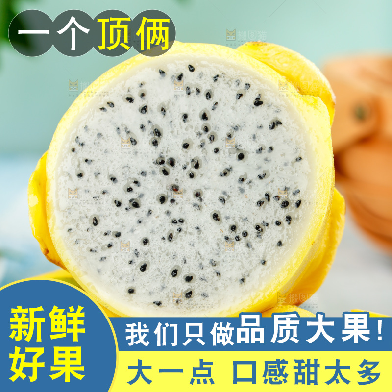 浅底上的黄皮火龙果