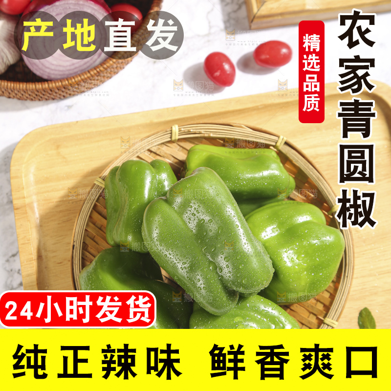 浅底上的青圆椒