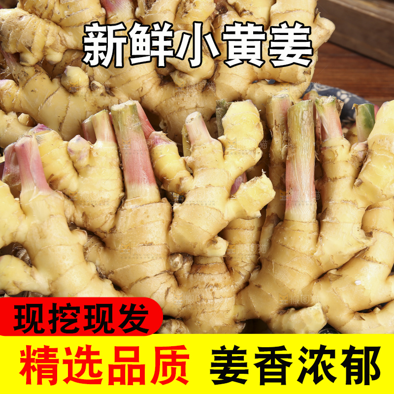 木底上的新鲜小黄姜