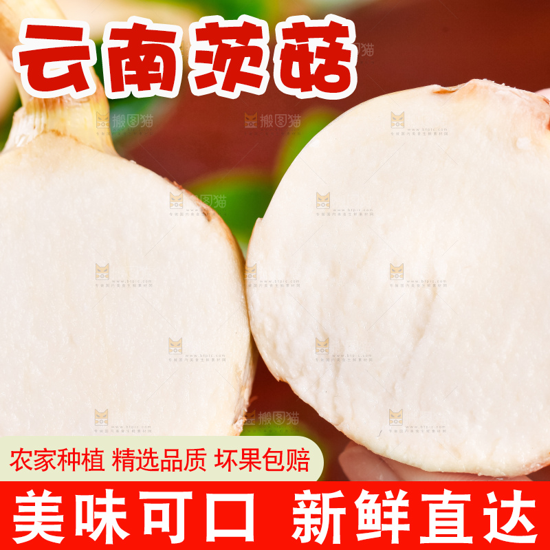手里拿着切开的白茨菇