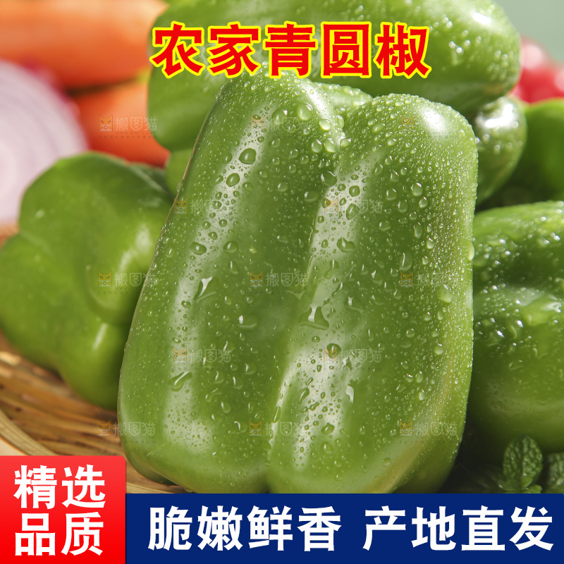 浅底上的青圆椒