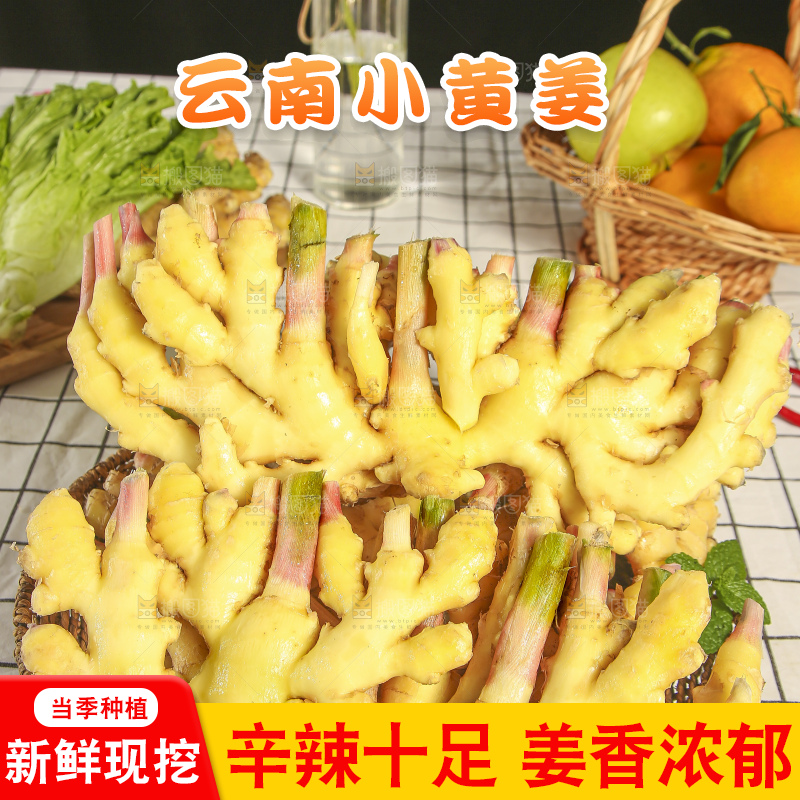 浅底上的小黄姜