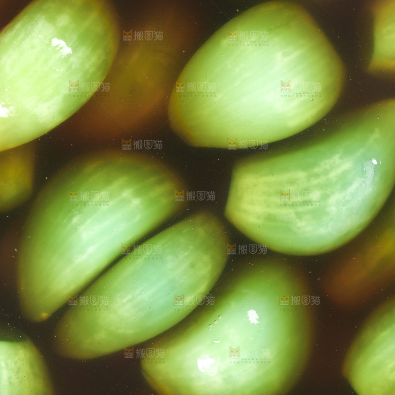 深底上的腊八蒜