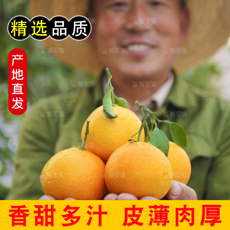 手里拿着爱媛果冻橙