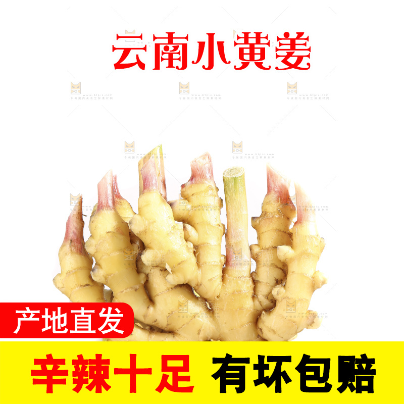 白底上的小黄姜