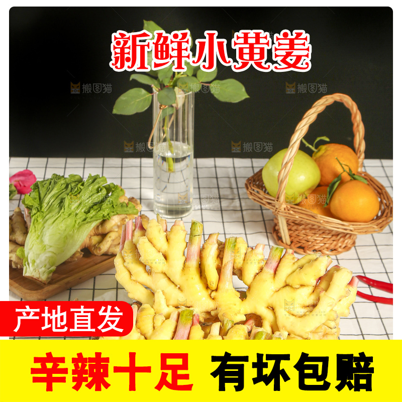 浅底上的小黄姜