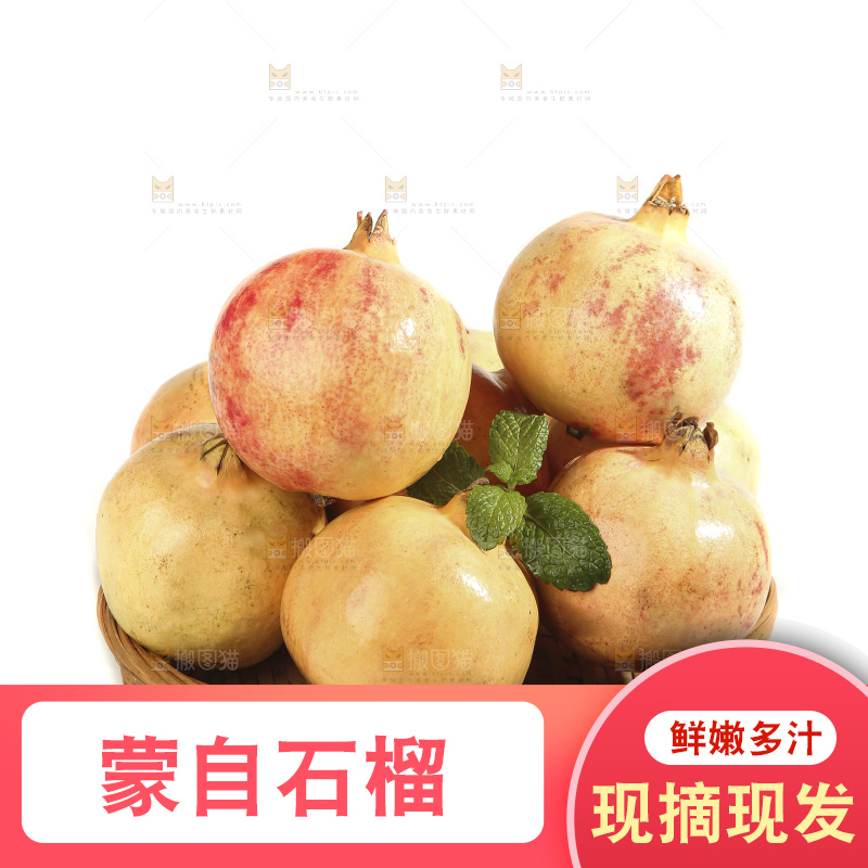白底上的蒙自石榴
