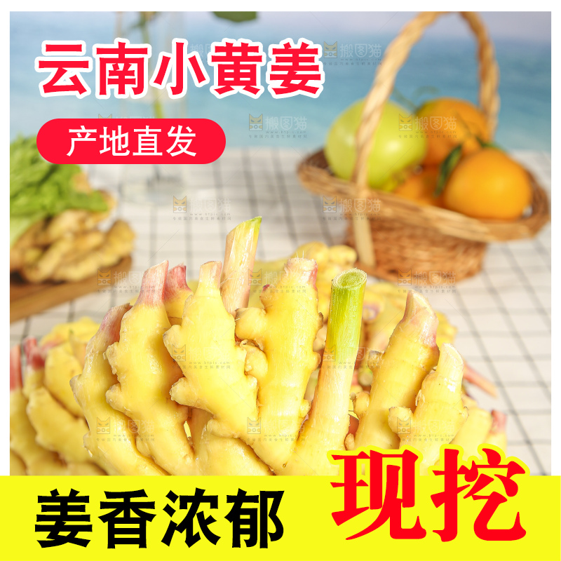 浅底上的小黄姜